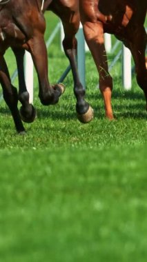 At Bacakları Detaylı Koşan Atların Süper Yavaş Hareketi. High Speed Cinema Camera 'da çekildi, 1000 fps. Açık hava yarışı. Dikey Görünüm Oranı.