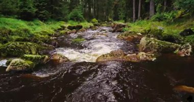 Bir ladin ormanındaki küçük bir orman deresinin üzerinde gerçek akan su sesleriyle yakalanmış, hafif sinematik bir üstgeçit. Rahatlama, meditasyon, farkındalık ve çevre doğa projeleri için ideal barışçıl doğal atmosfer..