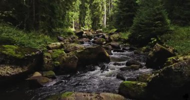 Bir ladin ormanındaki küçük bir orman deresinin üzerinde gerçek akan su sesleriyle yakalanmış, hafif sinematik bir üstgeçit. Rahatlama, meditasyon, farkındalık ve çevre doğa projeleri için ideal barışçıl doğal atmosfer..