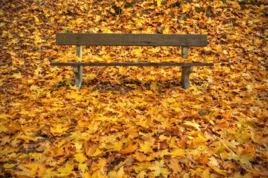 sonbahar tezgah Parkı