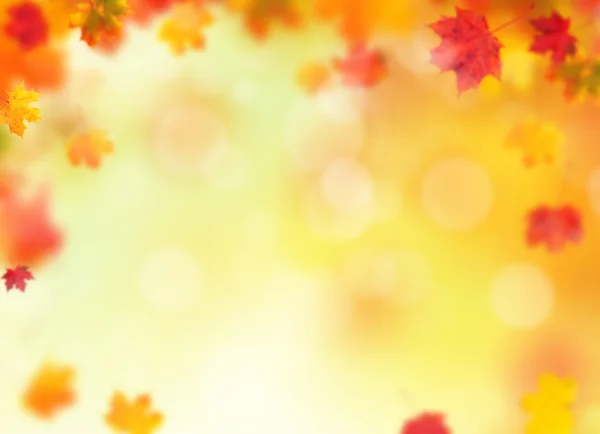 Rozmycie streszczenie tło jesień — Zdjęcie stockowe