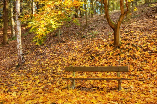Herbstbank im Park — Stockfoto