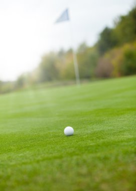 Yeşil çimenlerin üzerinde golf topu