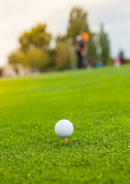 Bola de golfe no gramado verde — Fotografia de Stock