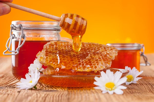 Friss méz vízirigó — Stock Fotó