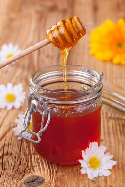Miele fresco con paletta — Foto Stock