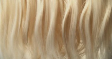 Sarışın saçların pürüzsüz, zarif dalgalar halinde akarak doğal kıvrımlar ve hareketler oluşturduğu ultra yavaş çekim. 1000 fps 'de yakalanan, ince dokuyu, parlaklığı ve akışkan sinematik hareketi gözler önüne seren.