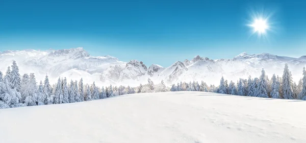 겨울 눈덮인 풍경 — 스톡 사진