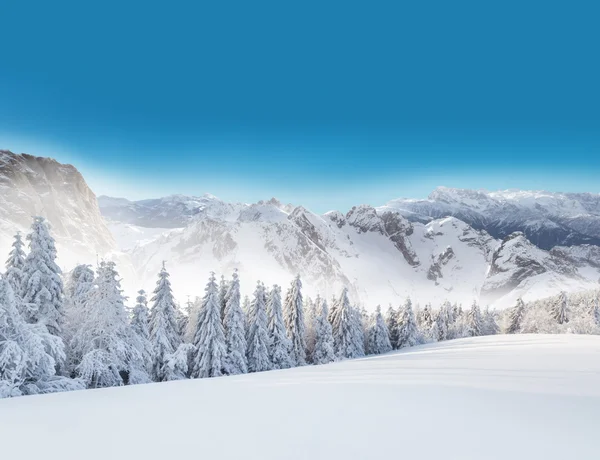 Зимний снежный пейзаж — стоковое фото