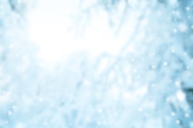 Kış arka plan bulanıklık