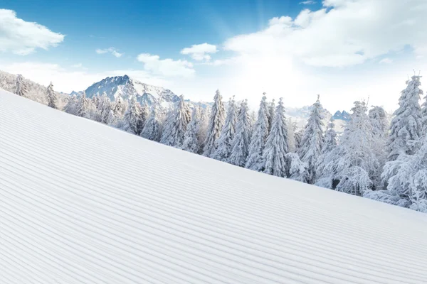 Alpine śnieżny krajobraz zimowy — Zdjęcie stockowe
