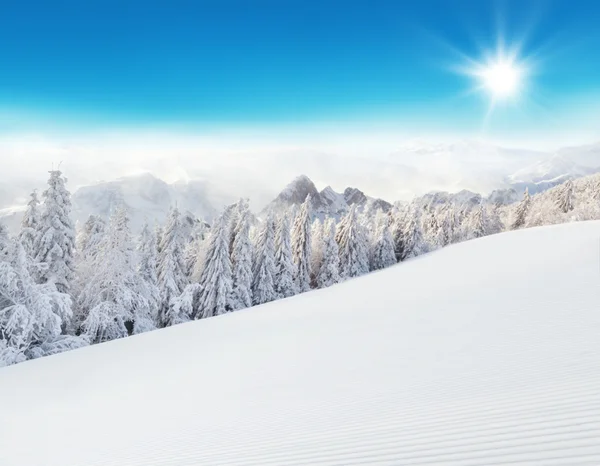 Alpine besneeuwde winterlandschap — Stockfoto