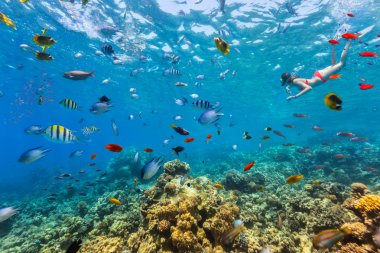 Kadın freediver mercan yüzen