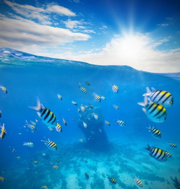 Underwater coral reef with horizon and water waves clipart