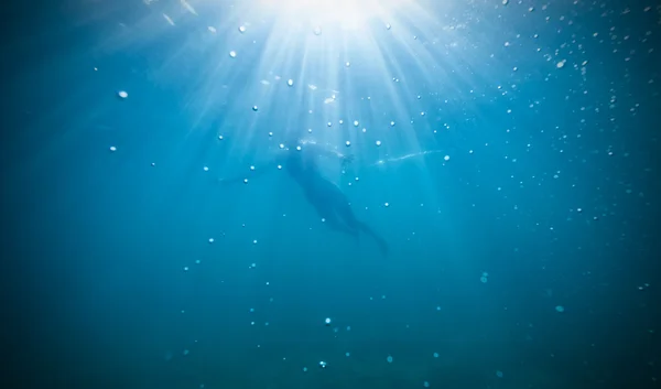 Silhouette of female freediver floating through sunbeams. — Stock Photo, Image