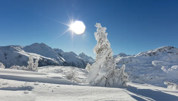 Bela paisagem de inverno nas montanhas — Fotografia de Stock