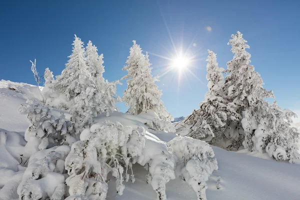 Beautiful winter landscape in the mountains — Stock Photo, Image