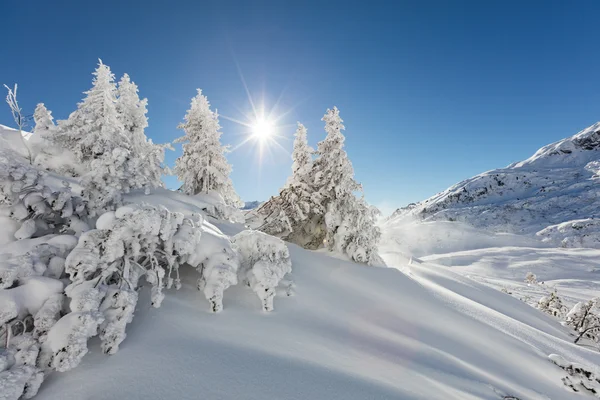 Bela paisagem de inverno nas montanhas — Fotografia de Stock