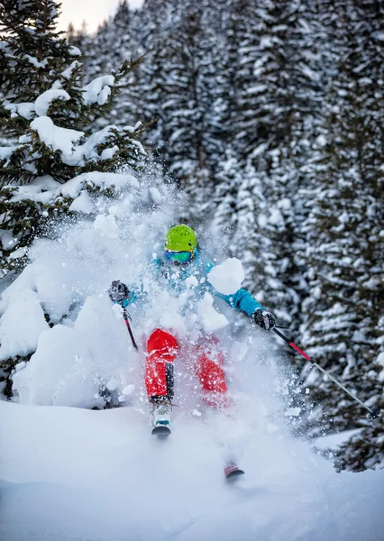 Man freerideer met bergafwaarts in forest — Stockfoto