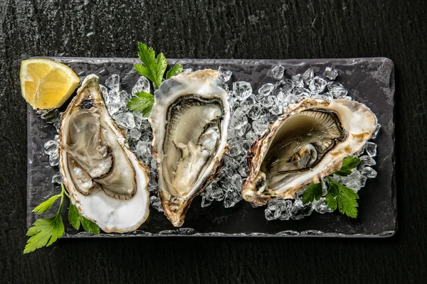 Ostras servidas en plato de piedra con deriva de hielo —  Fotos de Stock