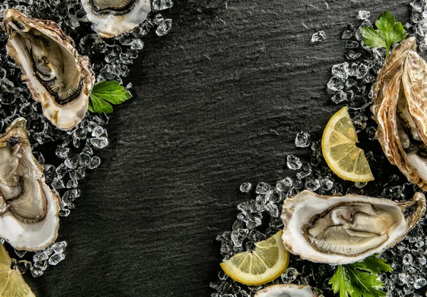 Ostras servidas en plato de piedra con deriva de hielo — Foto de Stock