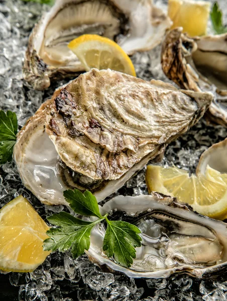 Ostras servidas en plato de piedra con deriva de hielo —  Fotos de Stock