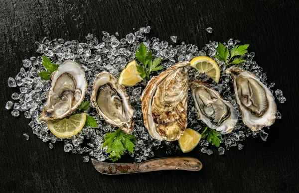 Ostras servidas en plato de piedra con deriva de hielo —  Fotos de Stock