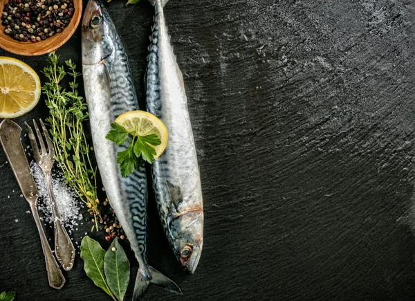 Mackerels frescos colocados sobre fundo de pedra escura — Fotografia de Stock