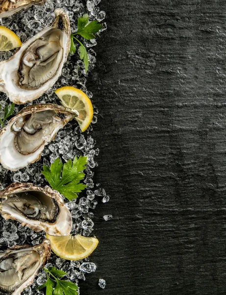 Ostras servidas en plato de piedra con deriva de hielo —  Fotos de Stock