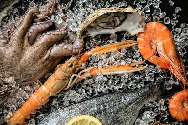 Seafood served on black stone — Stock Photo, Image