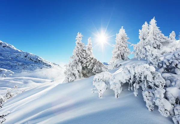 Bela paisagem de inverno nas montanhas — Fotografia de Stock