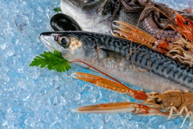 Buz drift üzerinde yerleştirilen deniz ürünleri