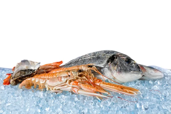 Свежие морепродукты на белом фоне — стоковое фото