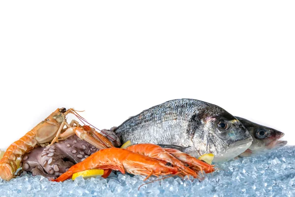 Mariscos frescos aislados sobre fondo blanco —  Fotos de Stock