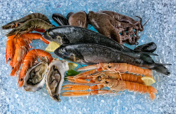 Frutos do mar colocados à deriva do gelo — Fotografia de Stock