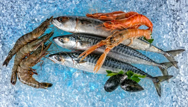 Frutos do mar colocados à deriva do gelo — Fotografia de Stock