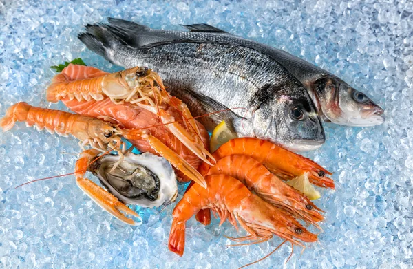 Seafood placed on ice drift — Stock Image Seafood placed on ice drift Stock Picture