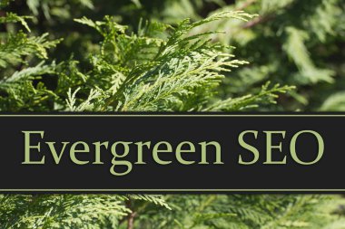Evergreen Seo mesaj