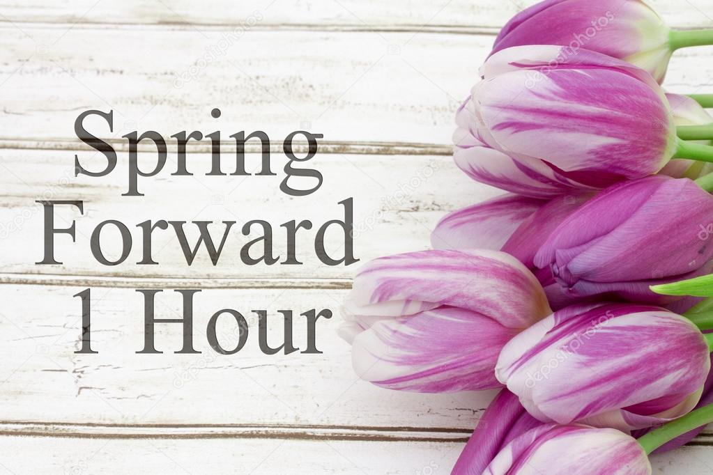 Spring time change stock photo by karenr 101853070