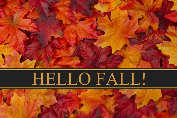 Hello Fall Mensagem — Fotografia de Stock