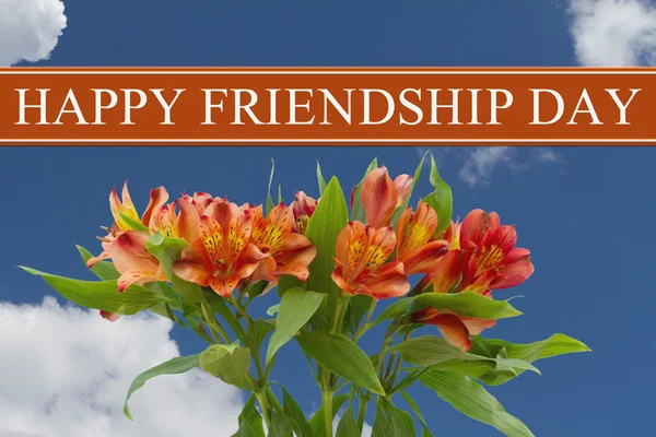 Šťastný den přátelství pozdravu s oranžovou a žlutou lilií bo — Stock fotografie