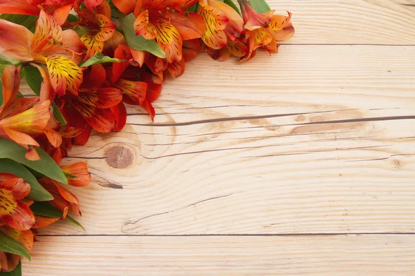 Fondo de primavera de flores — Foto de Stock