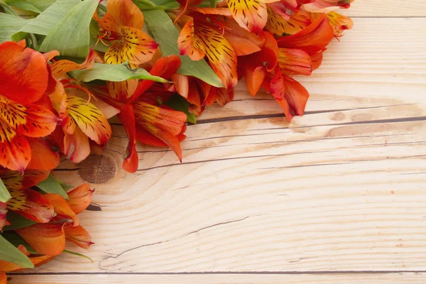 Fondo de primavera de flores — Foto de Stock