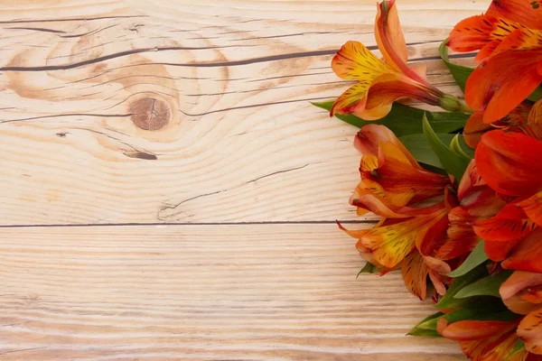 Fondo de primavera — Foto de Stock