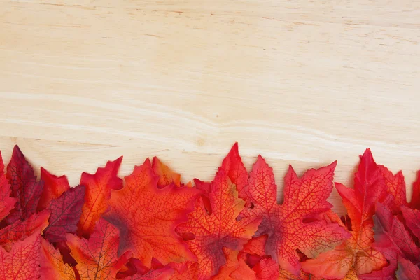 Höstens tid bakgrund — Stockfoto