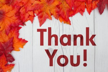 Teşekkürler mesaj.