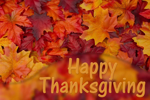 Happy Thanksgiving groet — Stockfoto