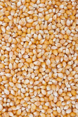 patlamış mısır çekirdekleri arka plan