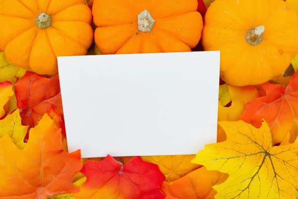 Autunno Time Card — Foto Stock