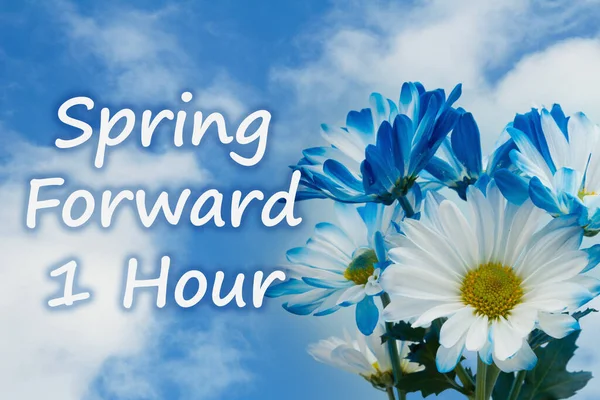 春の楽しみ1時間の夏時間青い空と花の青いデイジーの束と時間のメッセージ ロイヤリティフリーのストック画像